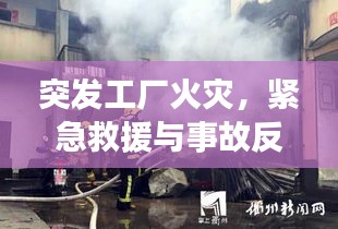 突发工厂火灾，紧急救援与事故反思，如何预防工厂火灾？