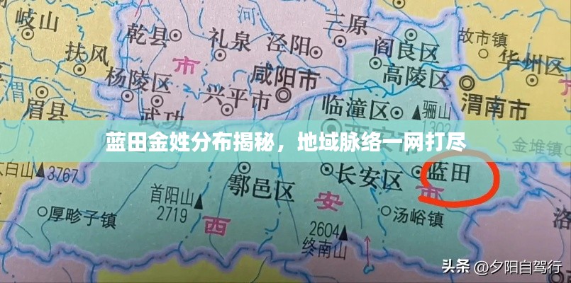 蓝田金姓分布揭秘，地域脉络一网打尽