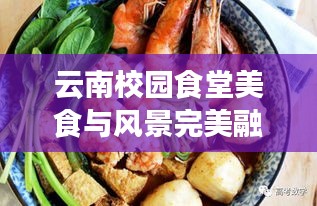 云南校园食堂美食与风景完美融合独家图片欣赏