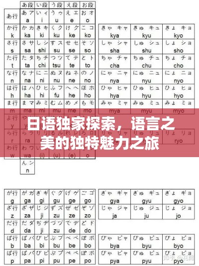 日语独家探索，语言之美的独特魅力之旅