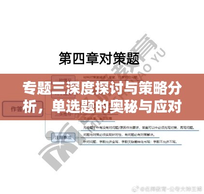 专题三深度探讨与策略分析，单选题的奥秘与应对之道