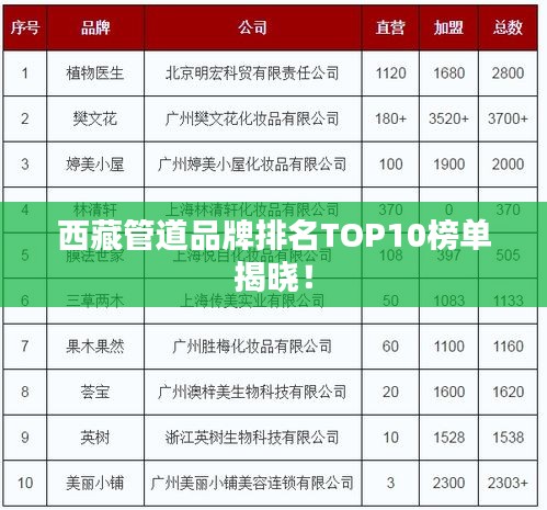 西藏管道品牌排名TOP10榜单揭晓！