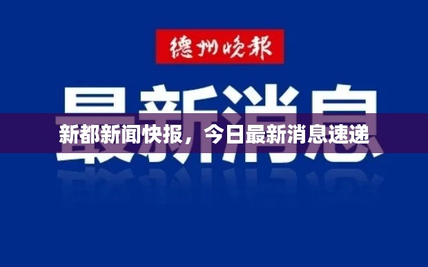 新都新闻快报，今日最新消息速递
