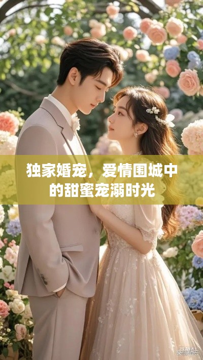 独家婚宠，爱情围城中的甜蜜宠溺时光