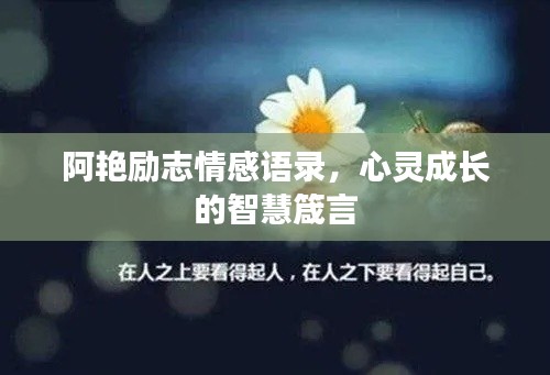 阿艳励志情感语录，心灵成长的智慧箴言