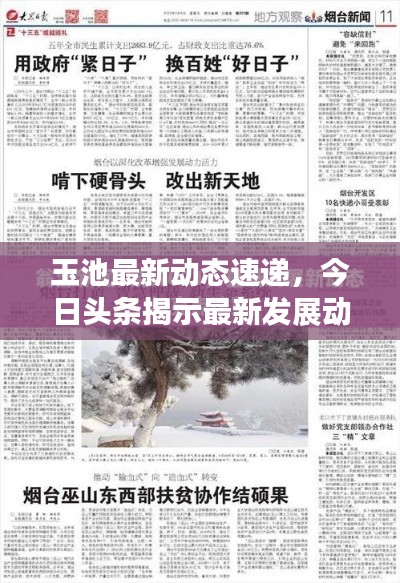 玉池最新动态速递，今日头条揭示最新发展动态