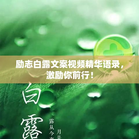 励志白露文案视频精华语录，激励你前行！