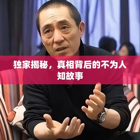 独家揭秘，真相背后的不为人知故事