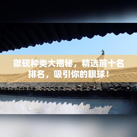 歙砚种类大揭秘，精选前十名排名，吸引你的眼球！
