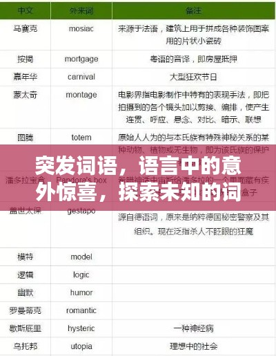 突发词语，语言中的意外惊喜，探索未知的词汇世界