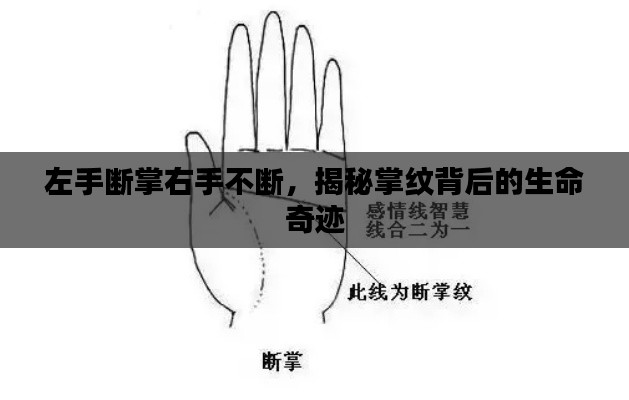 左手断掌右手不断，揭秘掌纹背后的生命奇迹