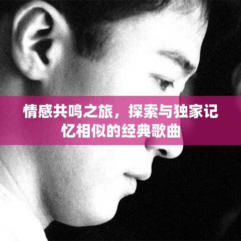 情感共鸣之旅，探索与独家记忆相似的经典歌曲