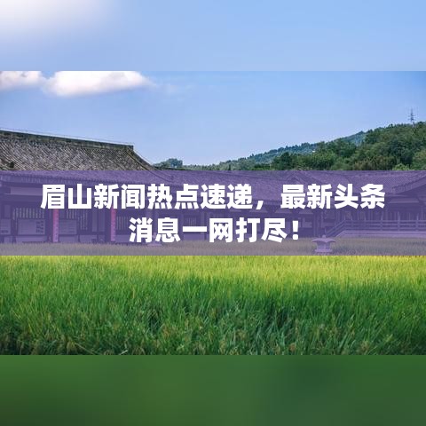 眉山新闻热点速递，最新头条消息一网打尽！