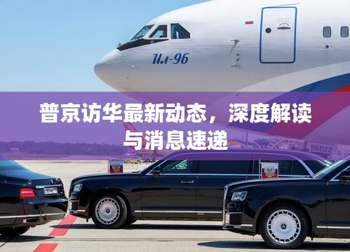 普京访华最新动态，深度解读与消息速递