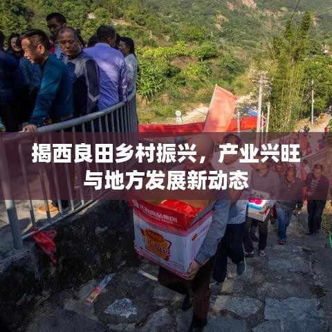 揭西良田乡村振兴，产业兴旺与地方发展新动态