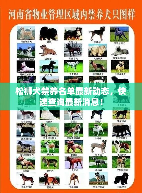 松狮犬禁养名单最新动态，快速查询最新消息！