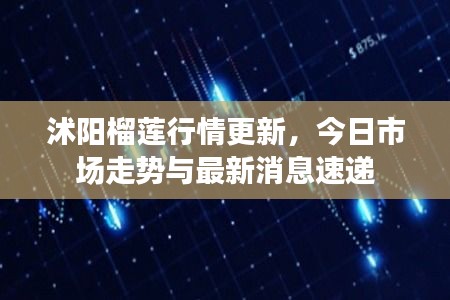 沭阳榴莲行情更新，今日市场走势与最新消息速递