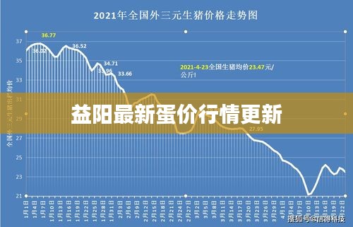 益阳最新蛋价行情更新