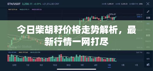 今日柴胡籽价格走势解析，最新行情一网打尽