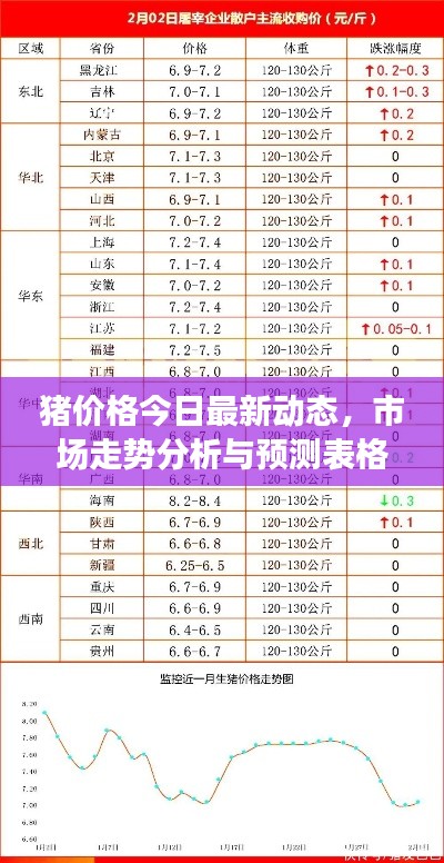 猪价格今日最新动态，市场走势分析与预测表格呈现